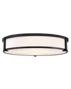 Large Flush Mount