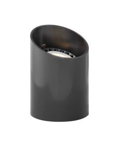 Par36 Reversible Well Light